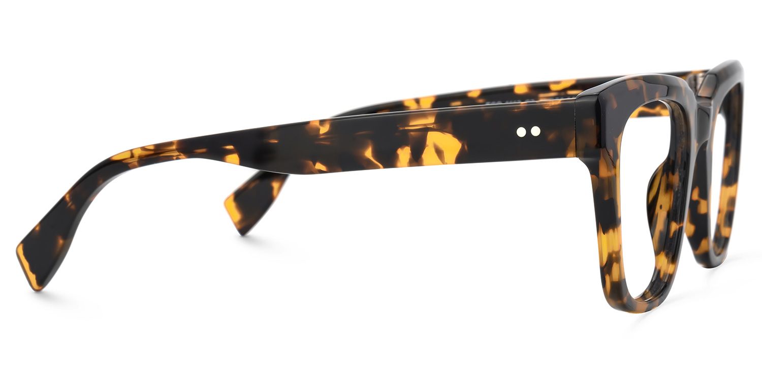 Schealer Square Classic Retro Tortoise Shell Glasses2