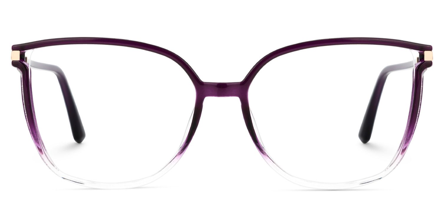Rodz Purple Eyeglasses and Designer Glasses Frame0