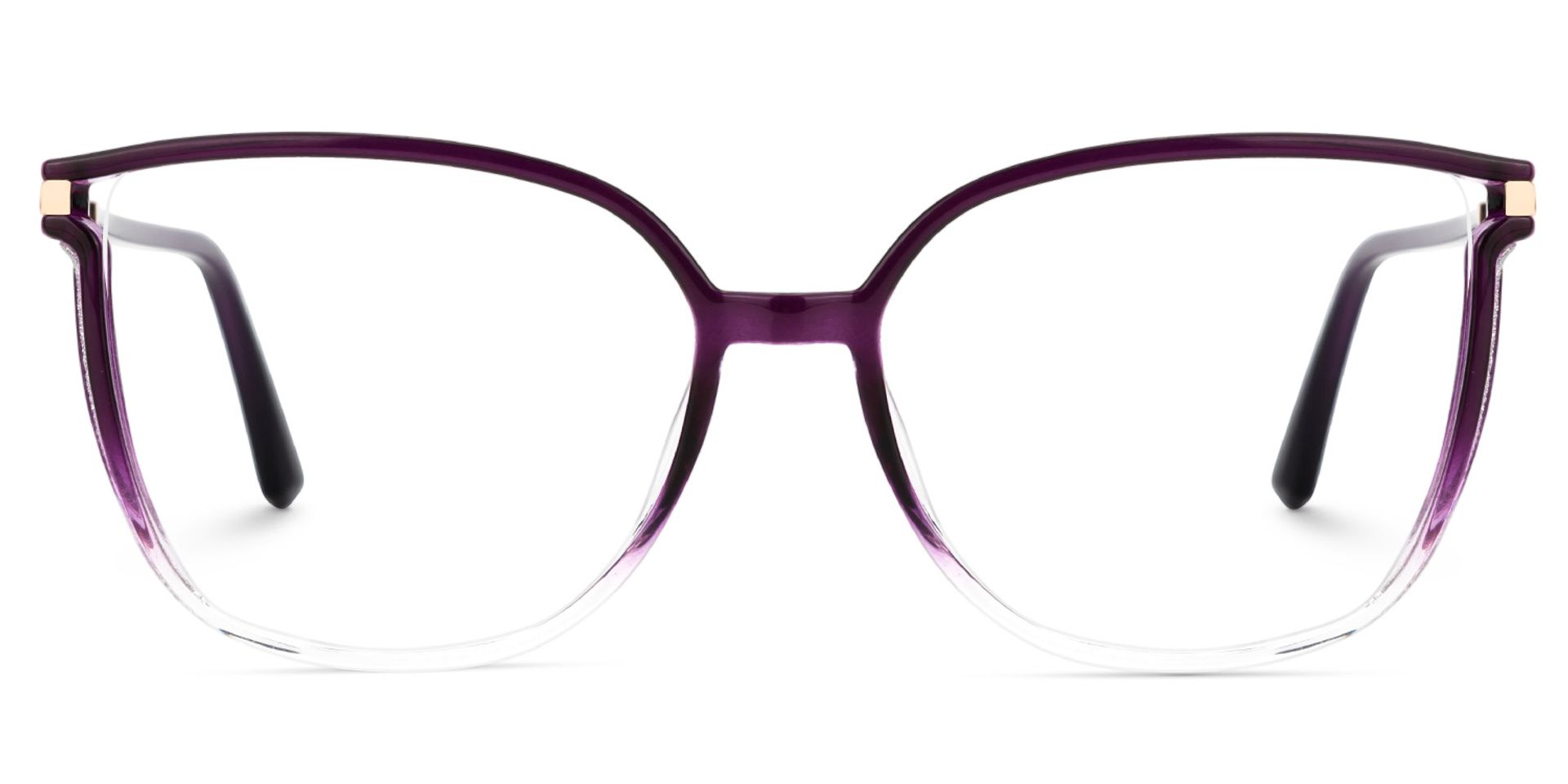 Rodz Purple Eyeglasses and Designer Glasses Frame0