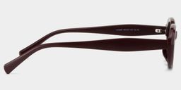 Zion Purple Oval Sunglasses3