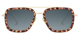 Gifford Tortoise Aviator Sunglasses0