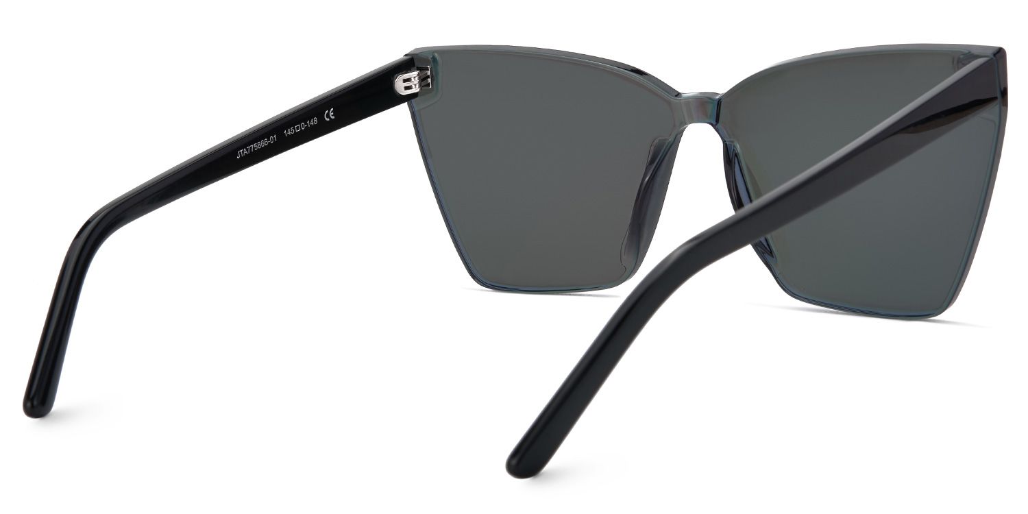 Liliane Frame Sunglasses | ZEELOOL CA3