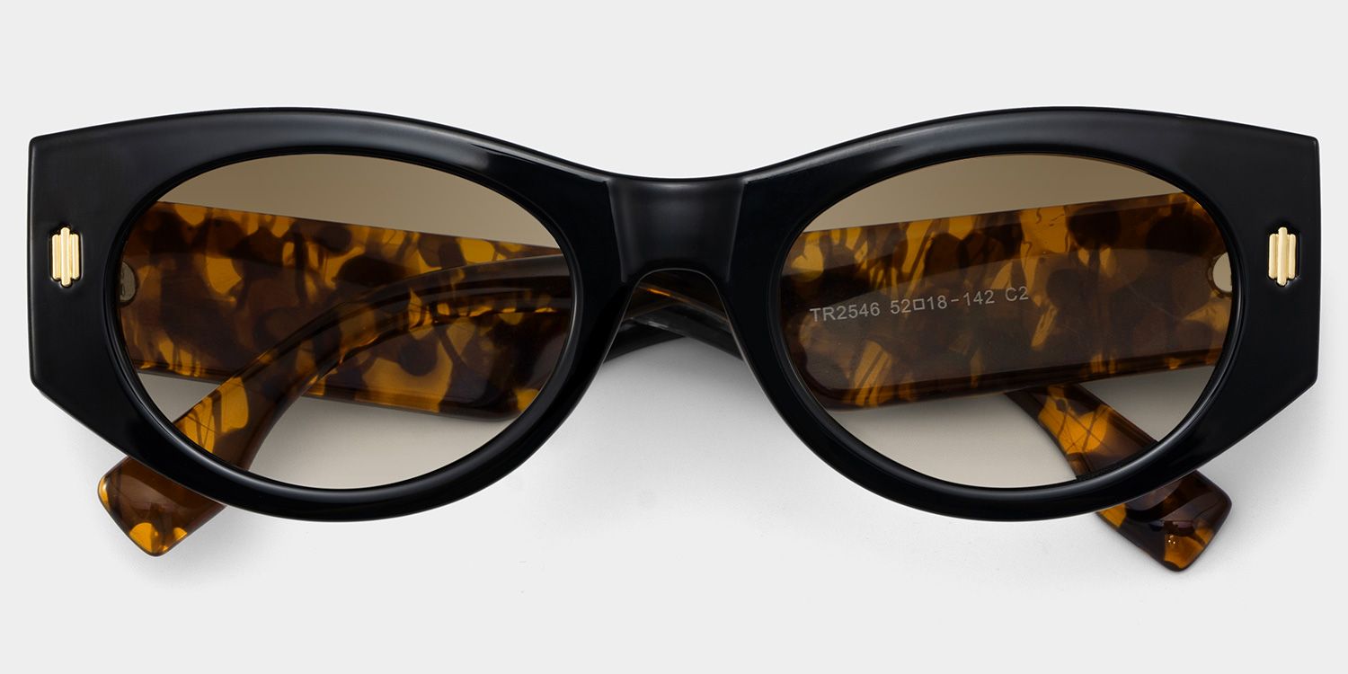 Reina Black Geometric Polarized Sunglasses for Driving | ZEELOOL CA1
