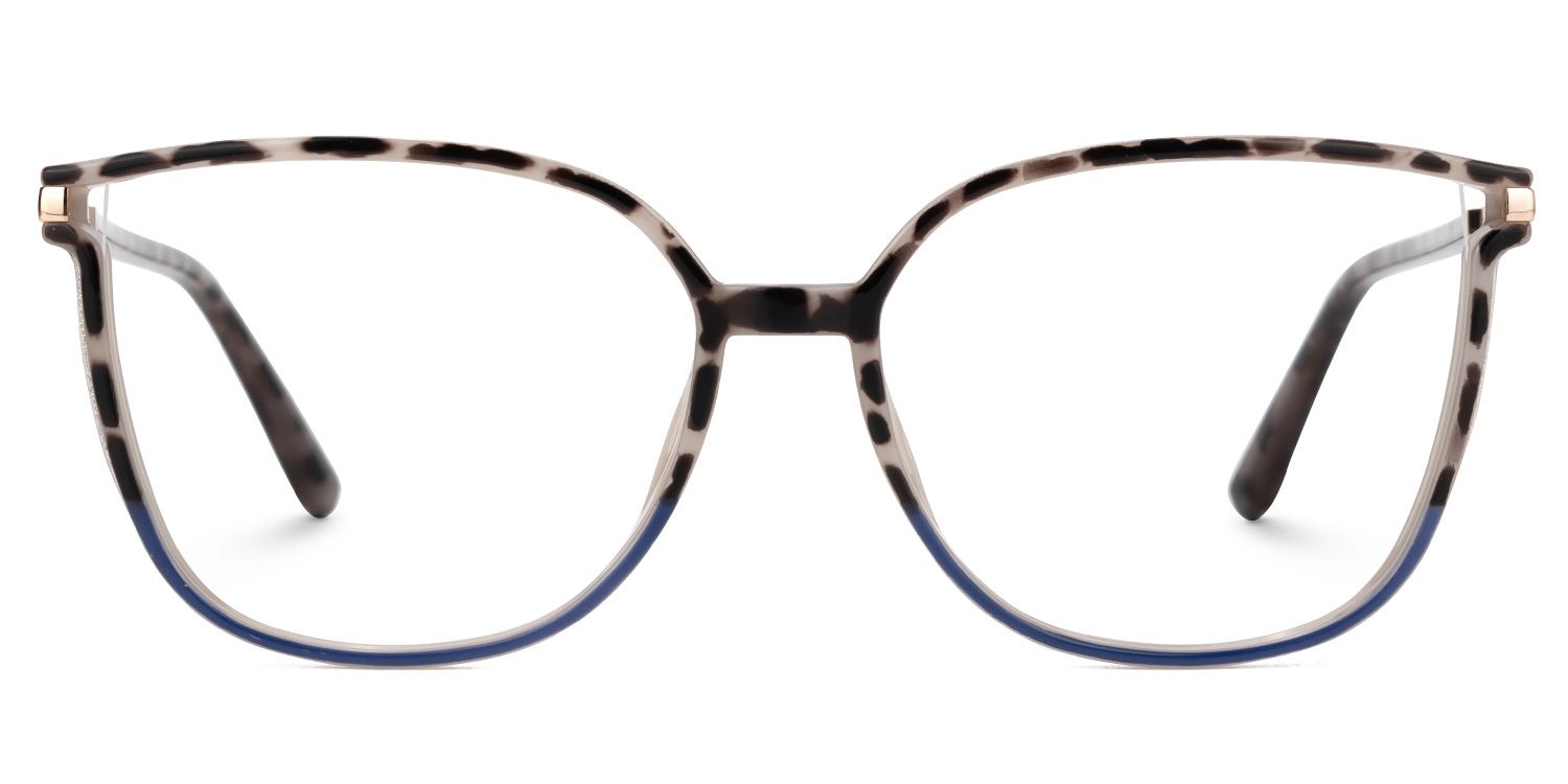 Rodz Tortoise-Blue Eyeglasses with Designer Frame0