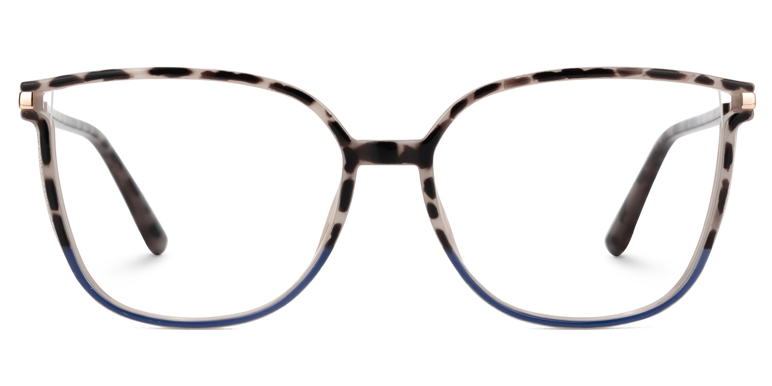 Rodz Tortoise-Blue Eyeglasses with Designer Frame0