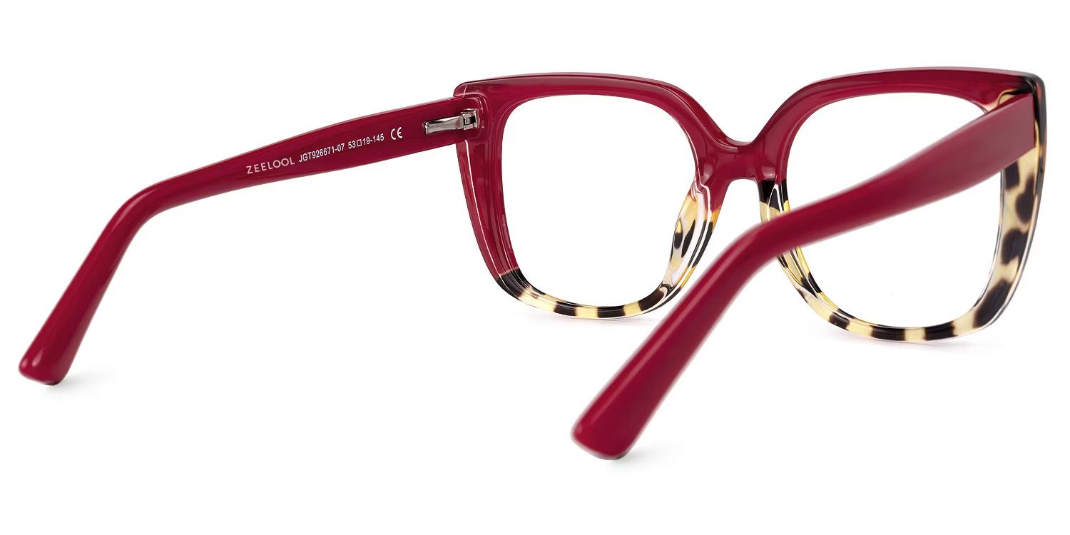 Square Carrero Two-Tone Eyeglasses and Glasses Frames4