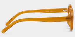 Astra Geometric Brown Polarized Sunglasses3