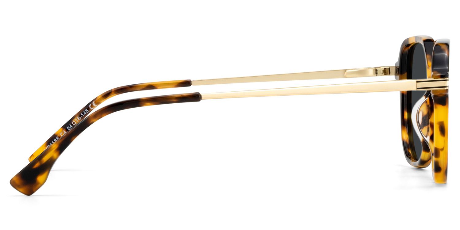 Jetson Tortoise Rectangle Polarized Sunglasses for Driving | ZEELOOL CA3