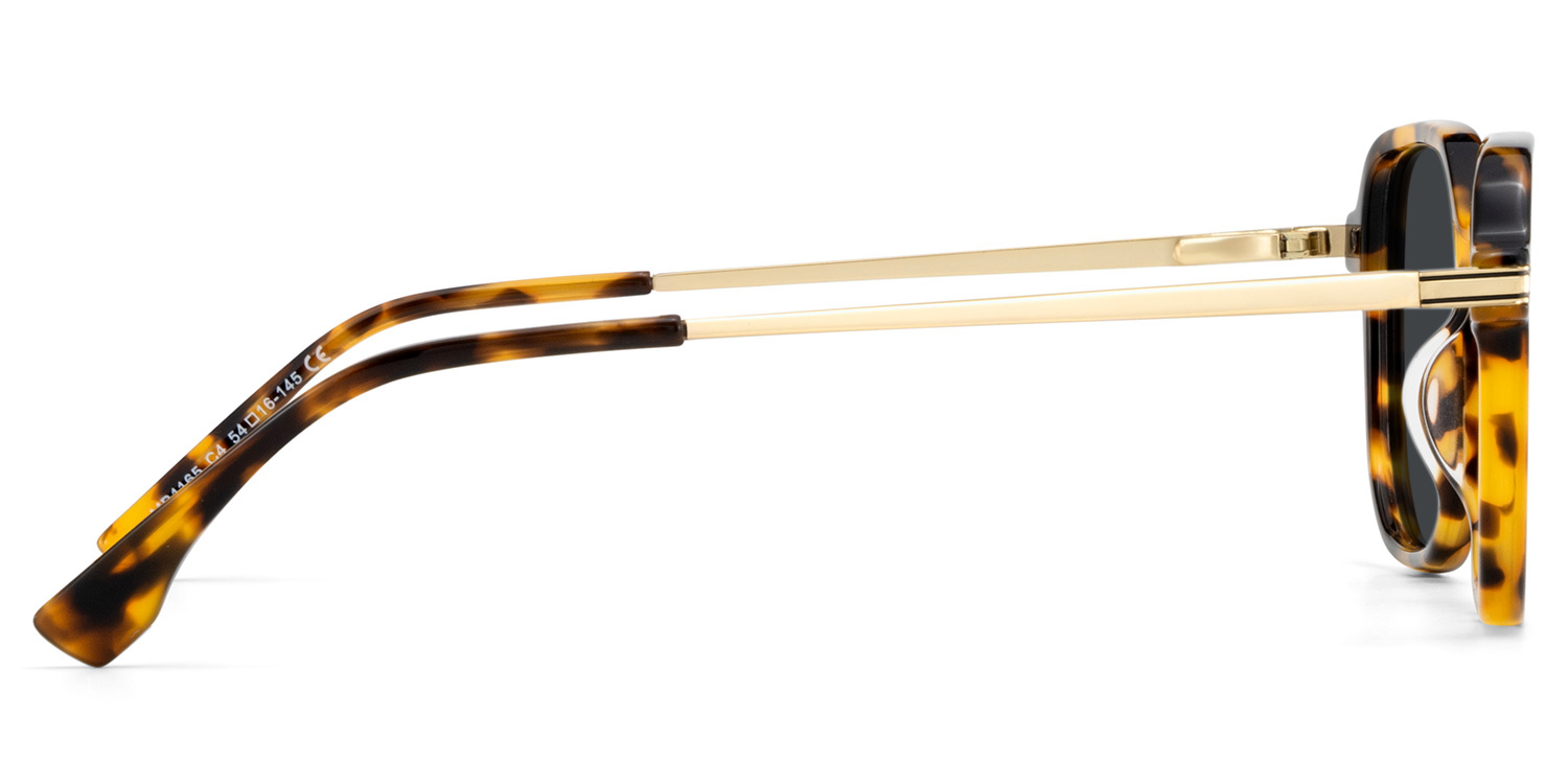 Jetson Tortoise Rectangle Sunglasses Online | ZEELOOL Canada3