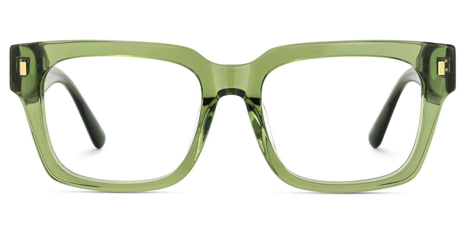 Clear Green Glasses Frames With Green and Tortoise Temples0