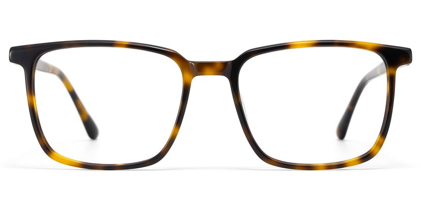 Aidan Rectangle Tortoise Glasses