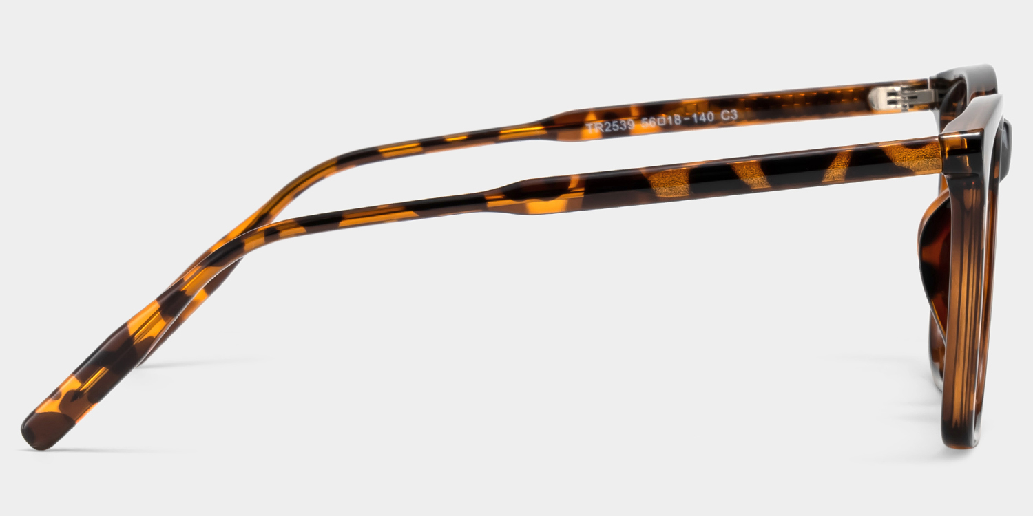 Malika Tortoise Frame Polarized Sunglasses with square Style Online | ZEELOOL Canada3