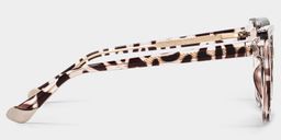 Fenn Tortoise Cat eye Glasses5