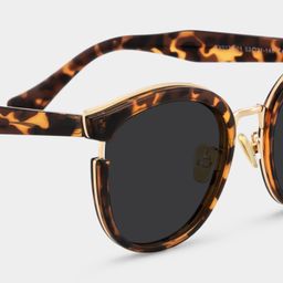 Laraine Cat Eye Tortoise Glasses4
