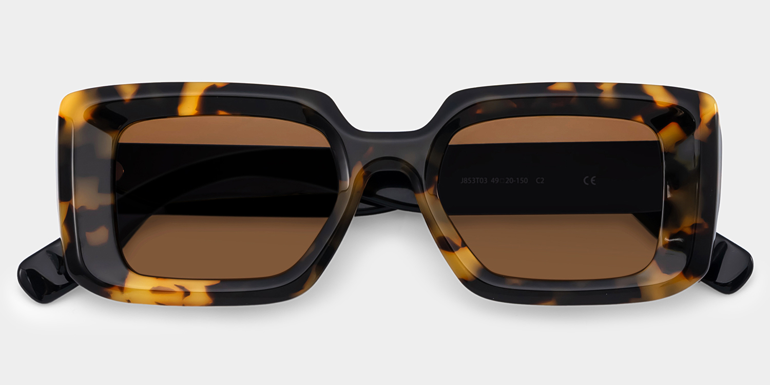 Eira Rectangle Tortoise Polarized Sunglasses1