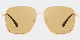 Valentina Square Gold Polarized Sunglasses1