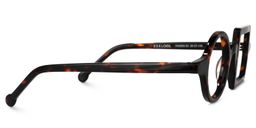 Paola Tortoise Asymmetric Square Circle Glasses2