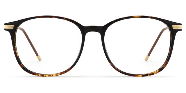 Greene Square Glasses