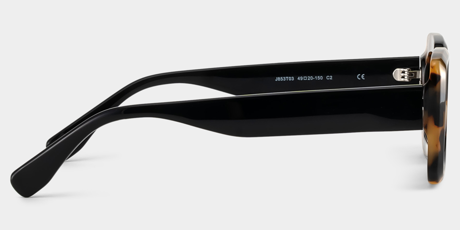 Eira Rectangle Tortoise Polarized Sunglasses3