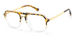 Kilworth Aviator Tortoise clear Glassess4