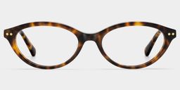 Ashby Tortoise Oval Glasses0