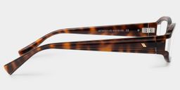 Willow Tortoise Rectangle Glasses5