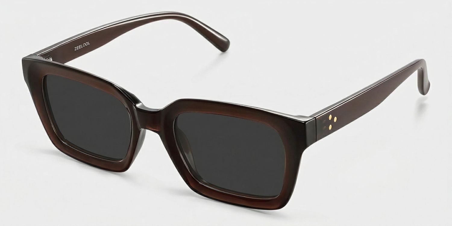 Marley Dark Brown Rectangle Polarized Sunglasses for Driving | ZEELOOL CA2