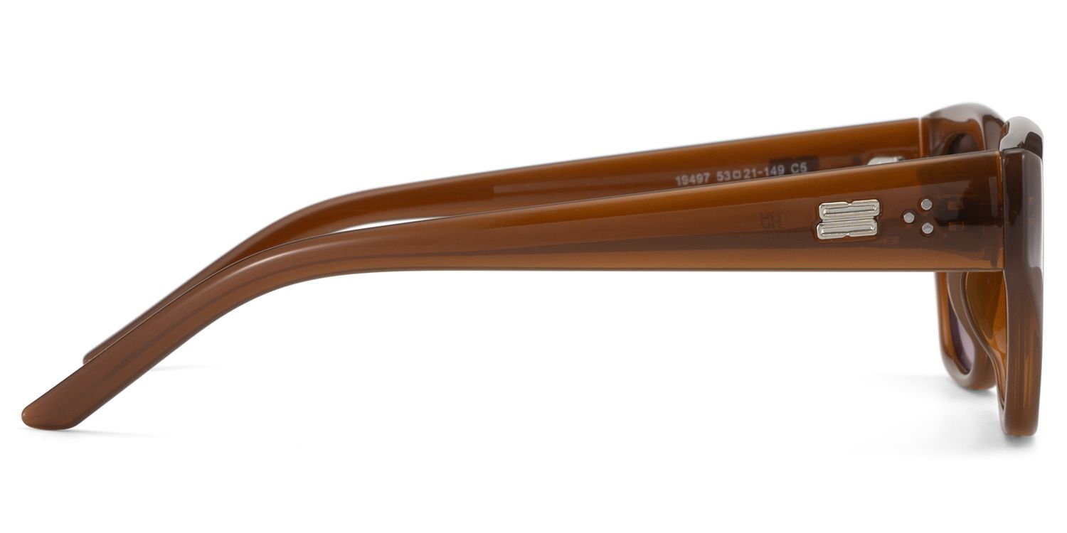 Serene Brown Clear Cat eye Polarized Sunglasses Online | ZEELOOL Canada3