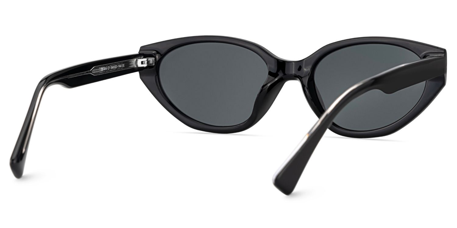 Raine Cat-eye Black Polarized Sunglasses4