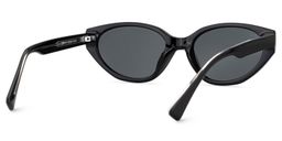Raine Cat-eye Black Polarized Sunglasses4