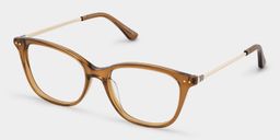Finch Brown Rectangle Glasses2