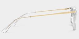 Selena Clear Rectangle Glasses3