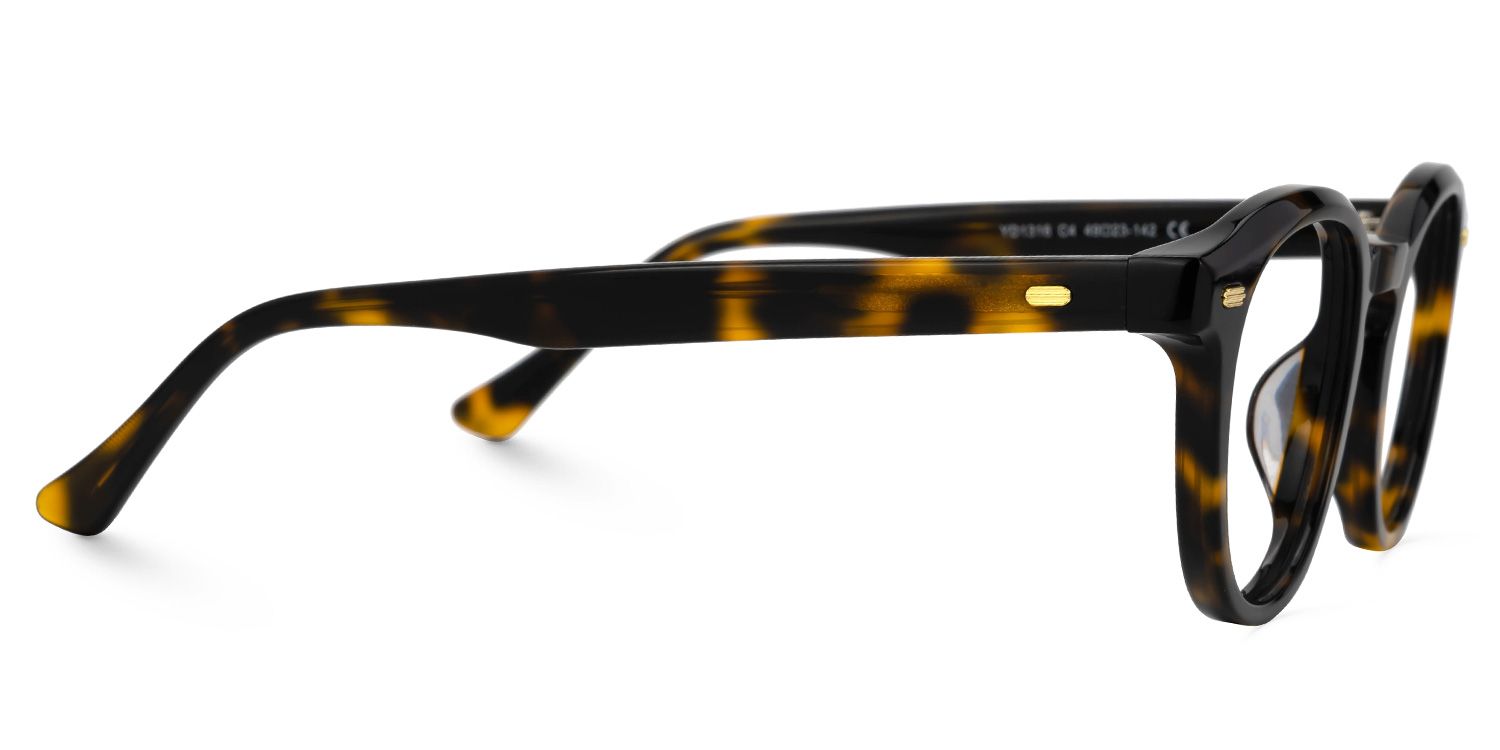 Dicks Eyeglasses in Round Tortoise Frame | ZEELOOL Canada2
