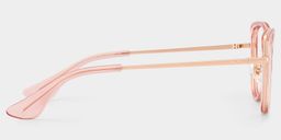 Celine  Cat-eye Pink Glasses5