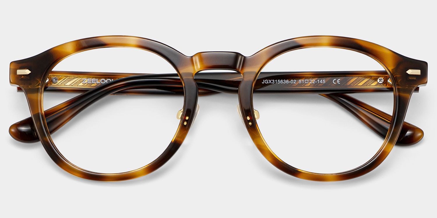 Frances Tortoise Large Round Tortoiseshell Glasses for Men & Women2
