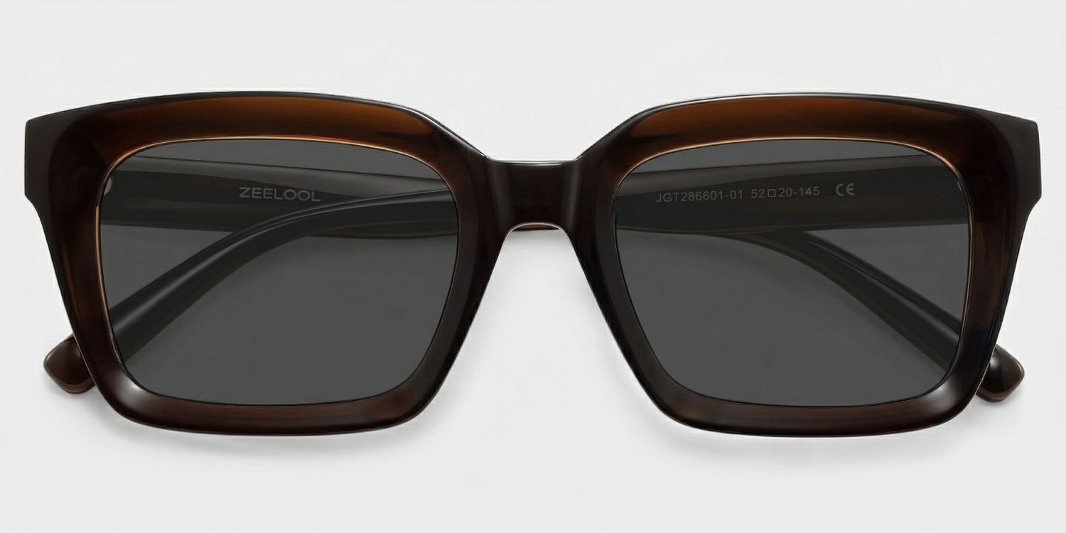 Marley Dark Brown Rectangle Polarized Sunglasses for Driving | ZEELOOL CA1
