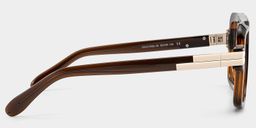 Croswell Aviator Brown Glasses4