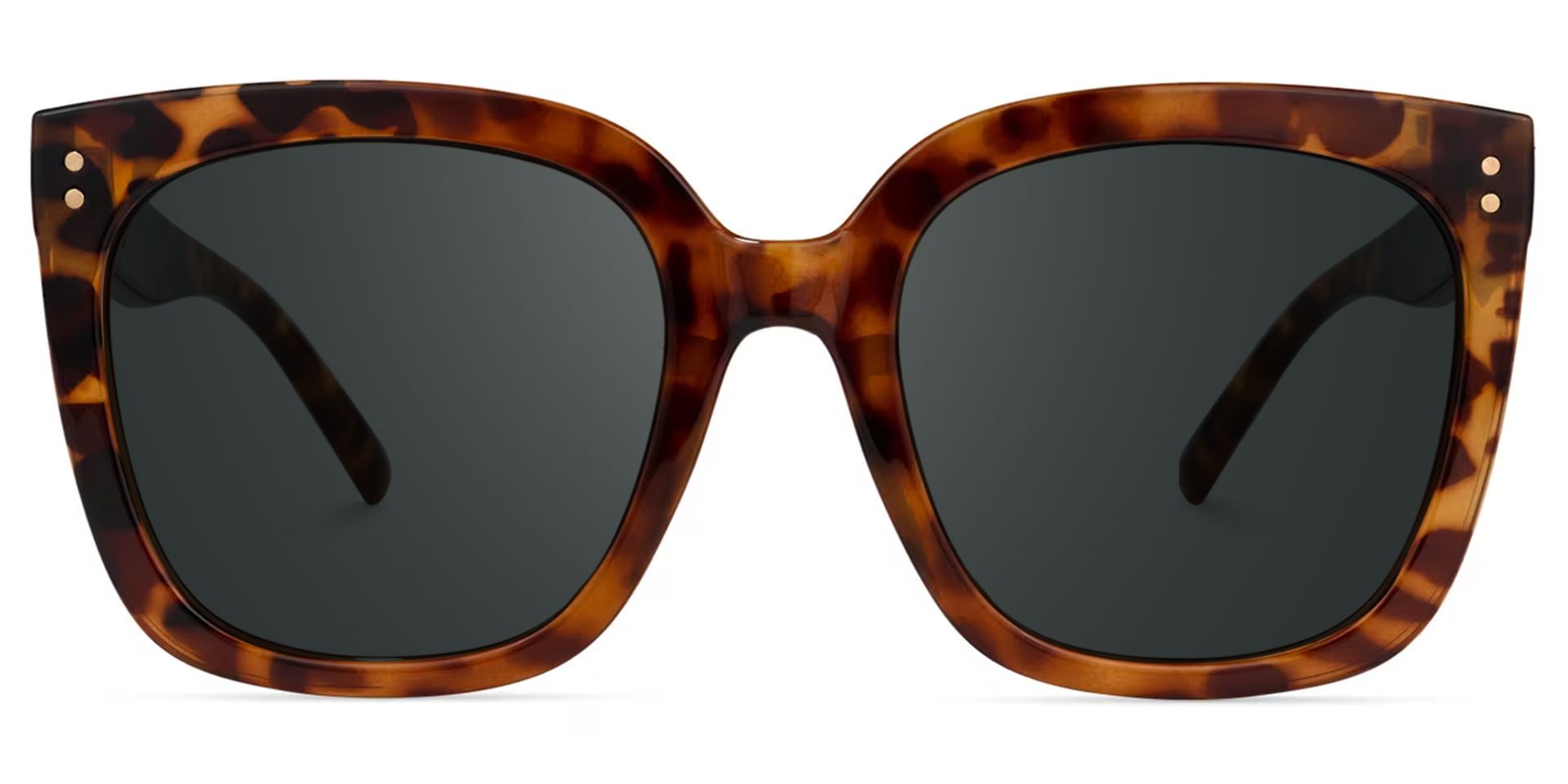 Ebony Tortoise Sunglasses and Square Sunglasses Frames0