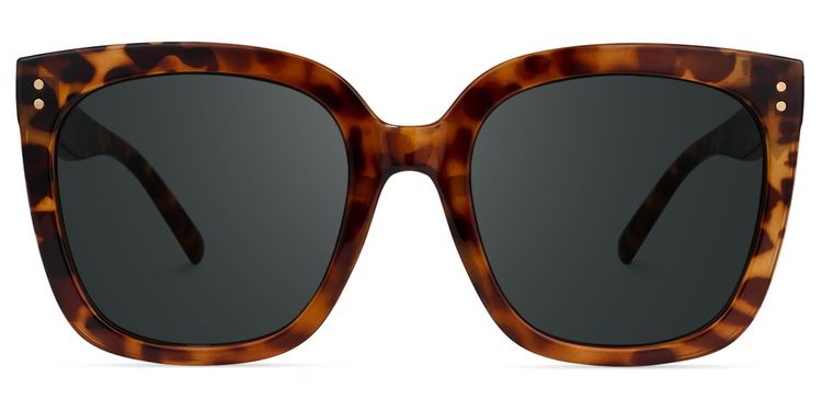 Ebony Square Tortoise Glasses