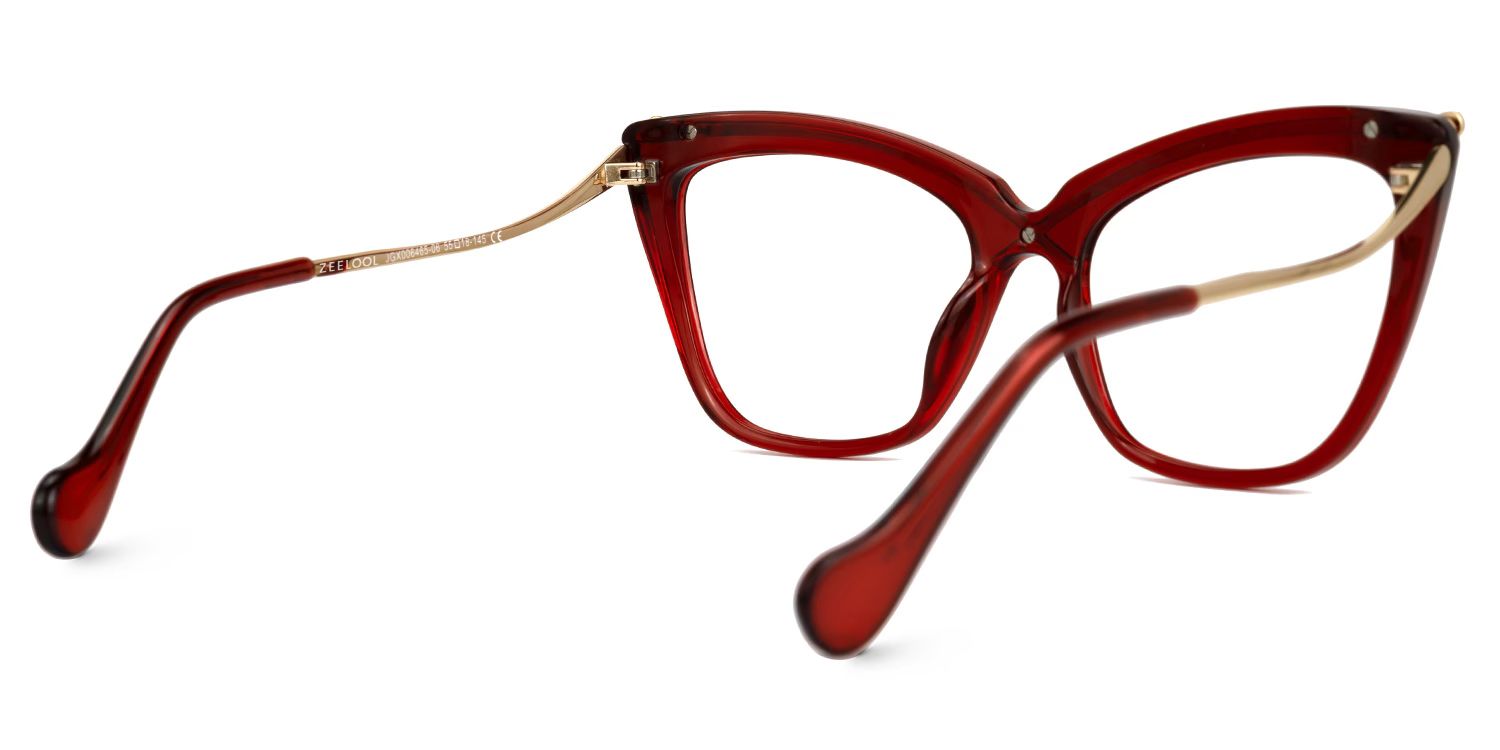 Winston Cat-eye Red Eyeglasses and Wide Frame Glasses3