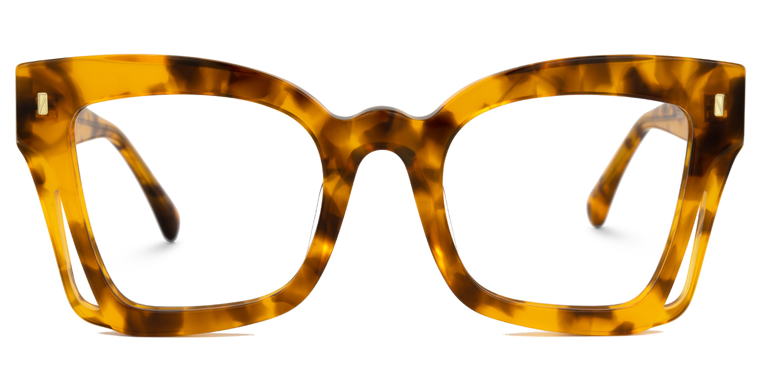 Dayana Square Tortoise Glasses0