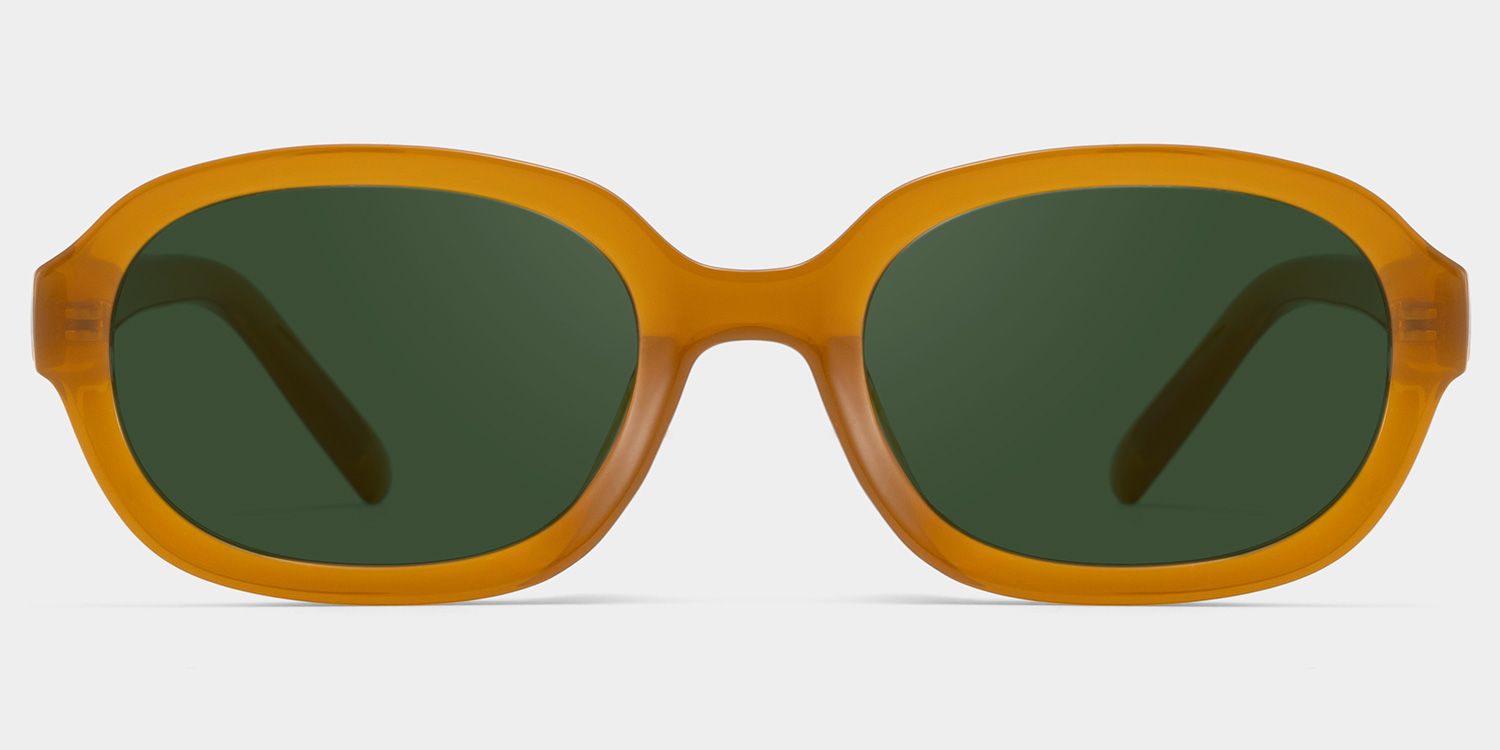 Astra Brown Frame Polarized Sunglasses with geometric Style Online | ZEELOOL Canada0