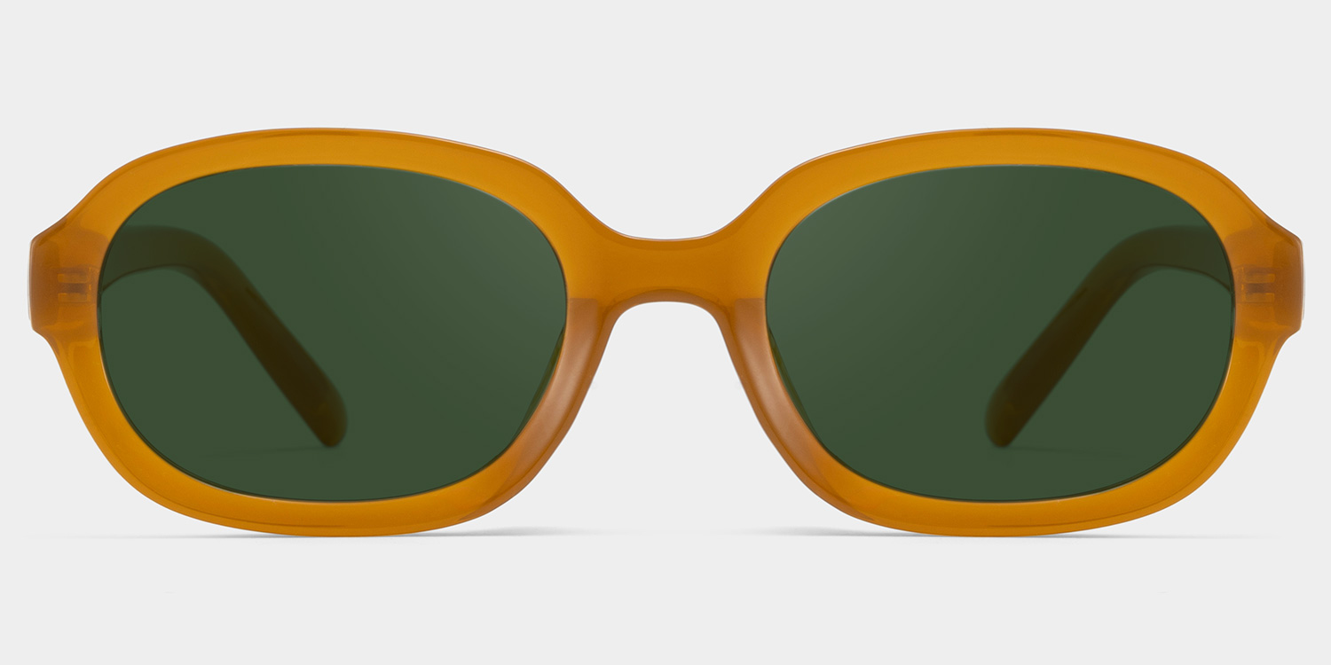 Astra Brown Frame Polarized Sunglasses with geometric Style Online | ZEELOOL Canada0