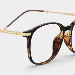 Greene Tortoise Square Glasses6