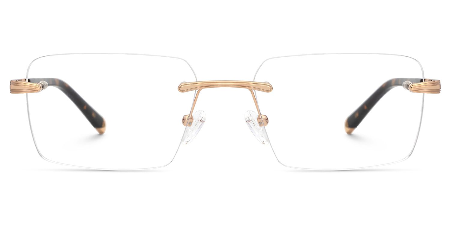 Tortoise Mixed-Materials Rectangle Eyeglasses- Savitrie0