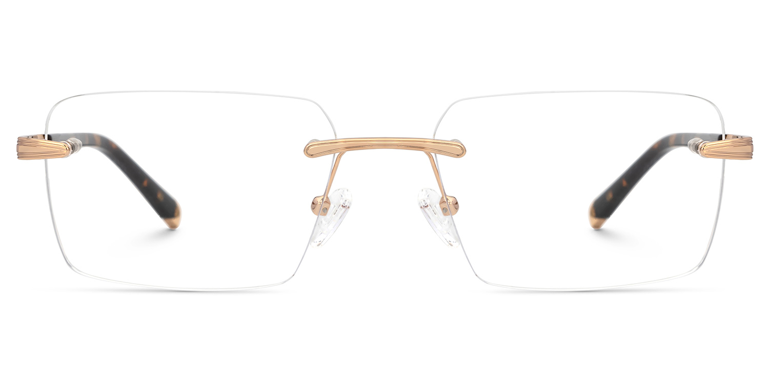 Savitrie Rectangle Tortoise Glasses good-img