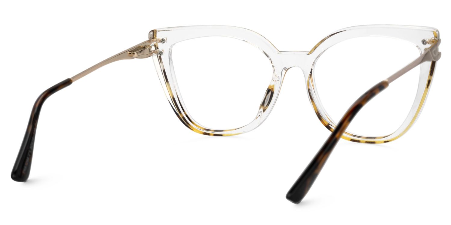 Fillery Clear Frame Glasses with Tortoiseshell Sides3