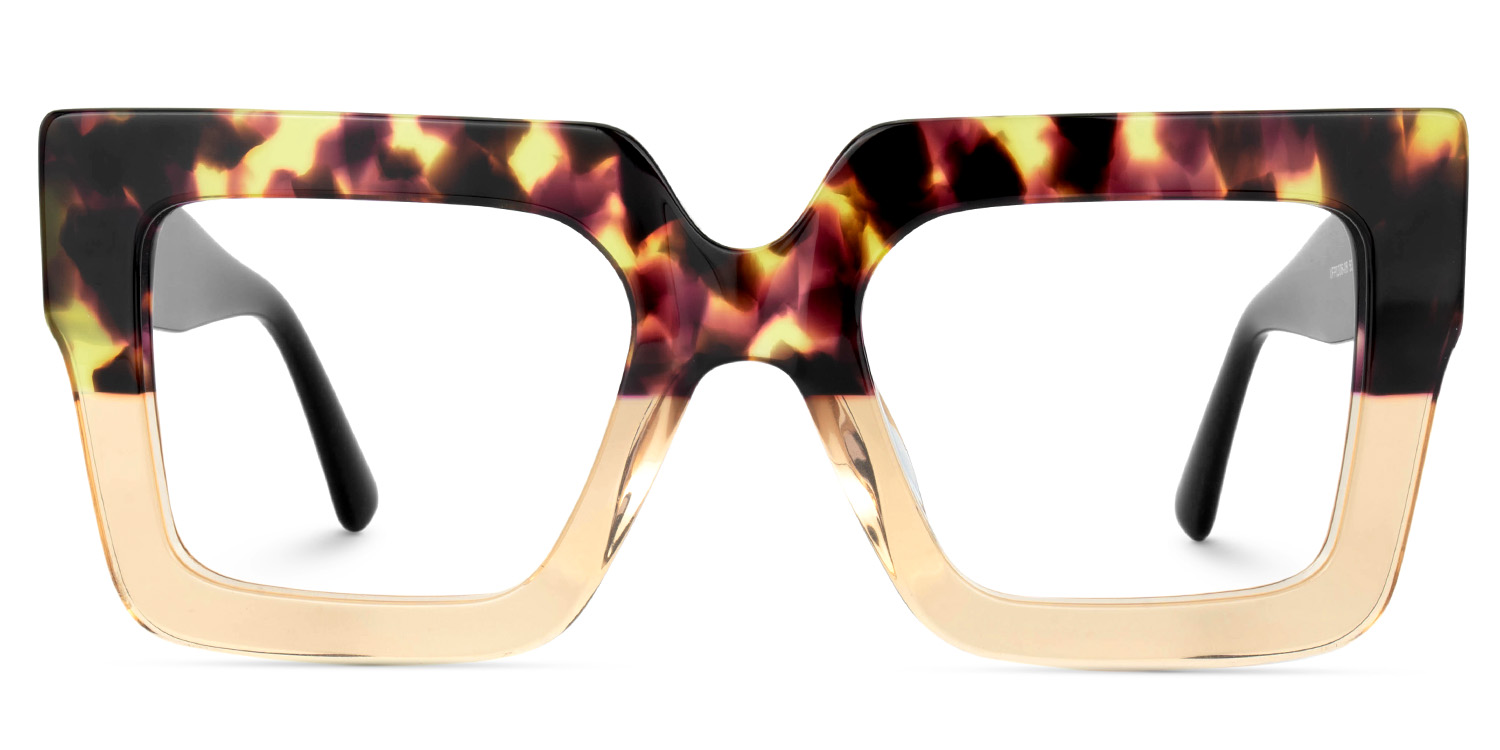 Brandon Square Tortoise Eyeglasses and Two-tone Frames0