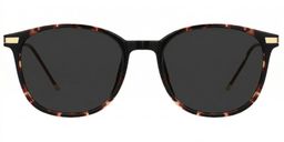 Greene Square Glasses0