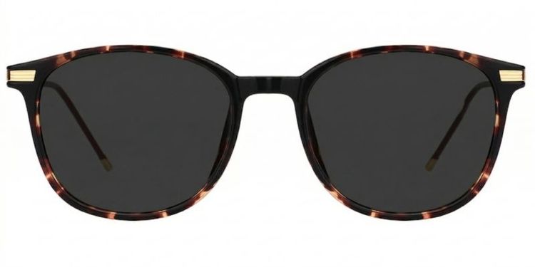 Greene Square Glasses